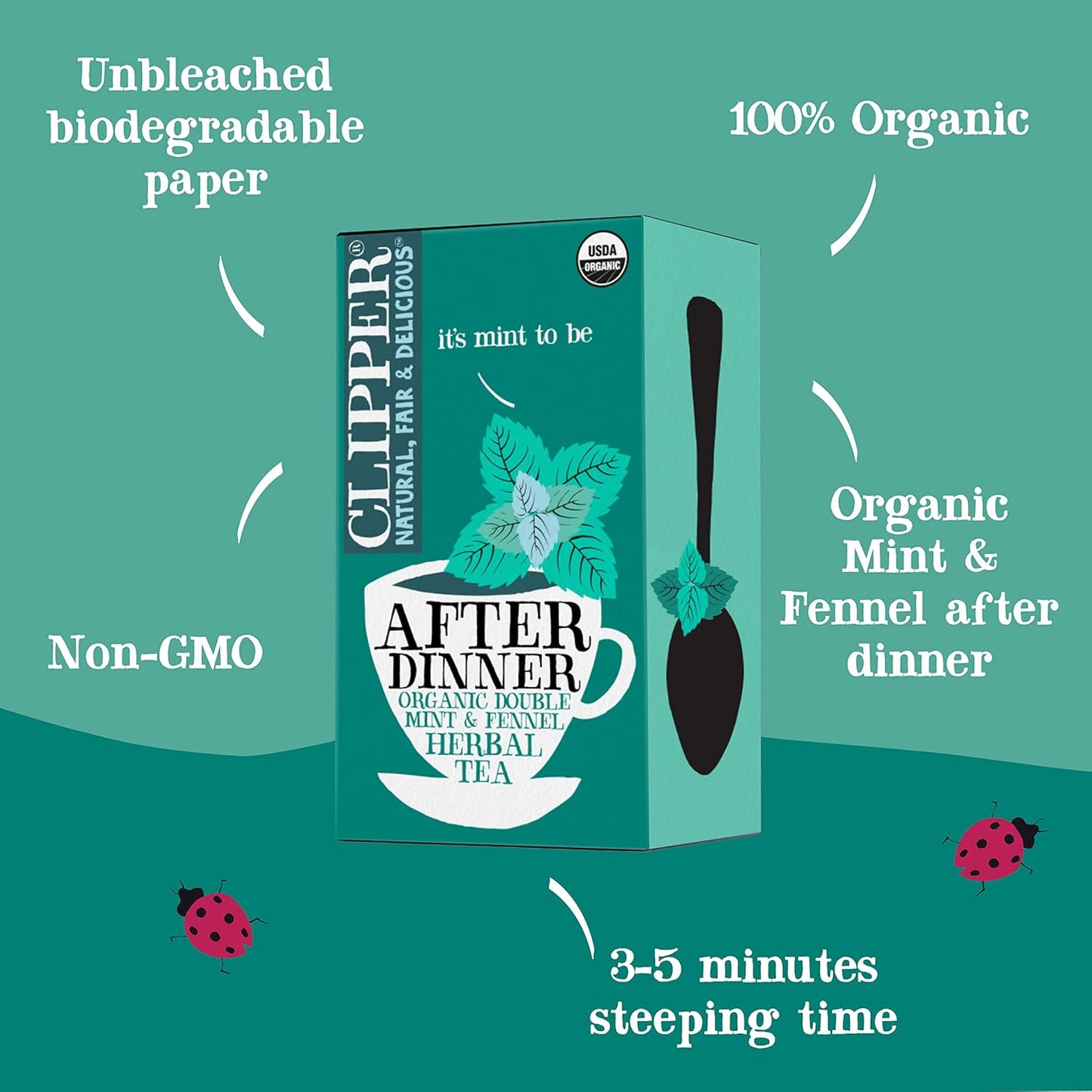 Organic Mint & Fennel Herbal Tea, after Dinner Mints - USDA Organic, Non-Gmo, Sustainable Caffeinated British Tea, 6 Pack, 120 Unbleached Tea Bags