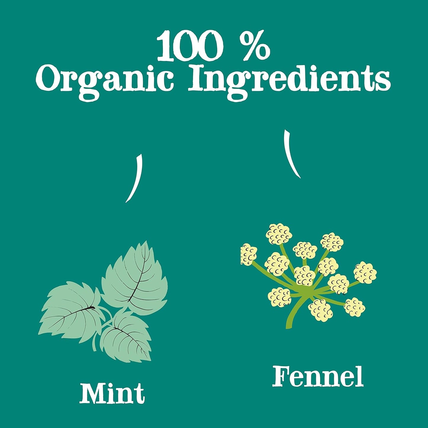 Organic Mint & Fennel Herbal Tea, after Dinner Mints - USDA Organic, Non-Gmo, Sustainable Caffeinated British Tea, 6 Pack, 120 Unbleached Tea Bags