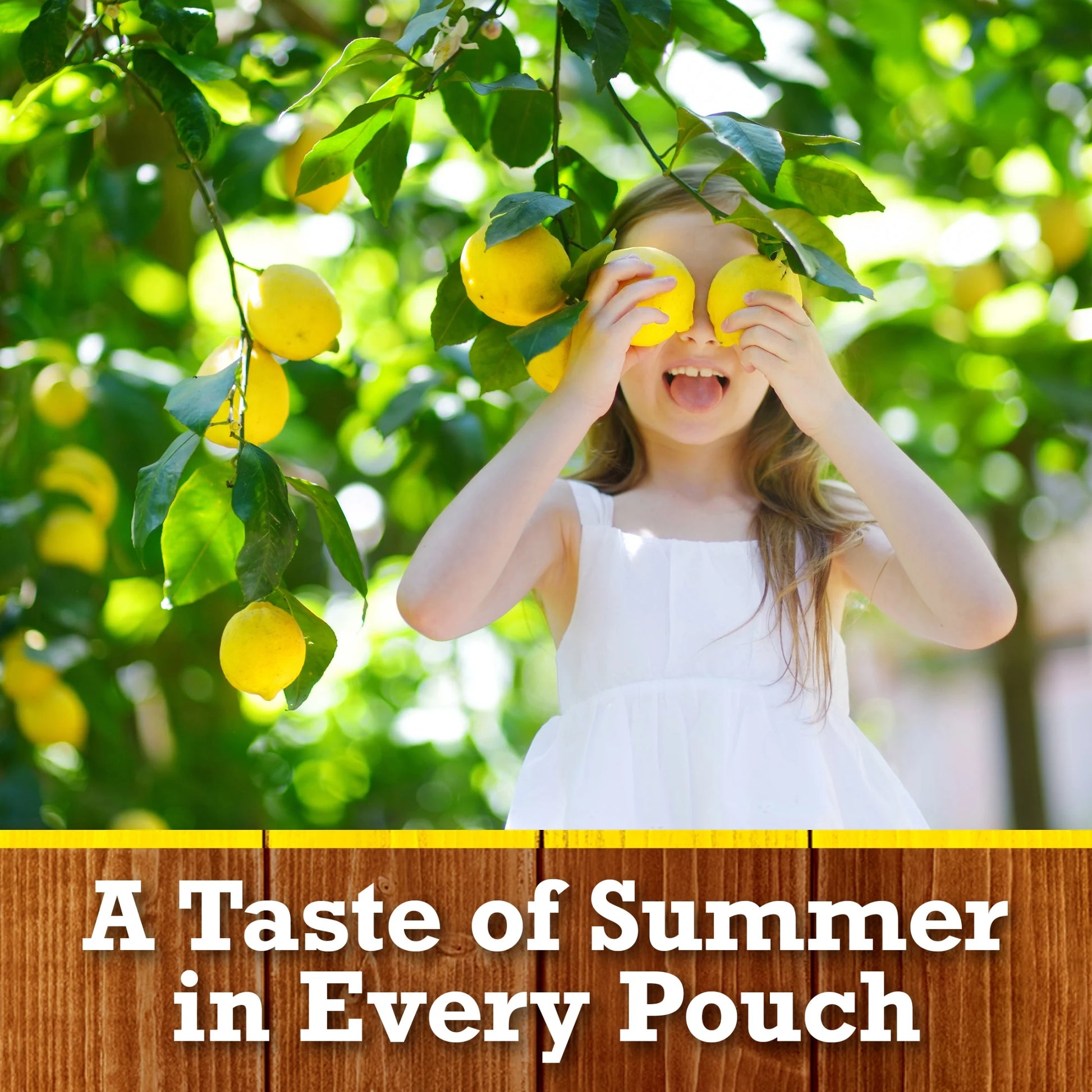 Lemonade Ready to Drink Flavored Drink Pouches, 10 Ct Box, 6 Fl Oz Pouches, Liquids